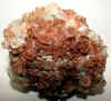 aragonite-8.jpg (495285 bytes)